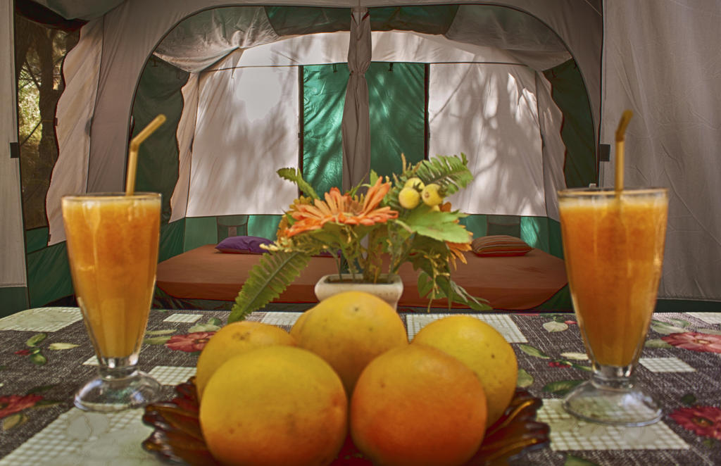 Camping Nopigia Kíssamos Habitación foto